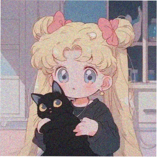 观众头像一